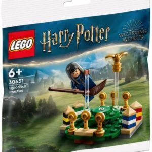 LEGO Harry Potter Quidditch Practice Polybag Set 30651