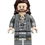 LEGO Harry Potter Sirius Black Minifigure from 75945