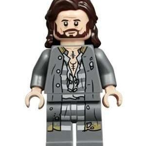 LEGO Harry Potter Sirius Black Minifigure from 75945